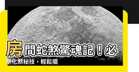 蛇煞化解紅紙|【室外蛇煞】小心室外蛇煞！風水毒蛇煞危害大，教你。